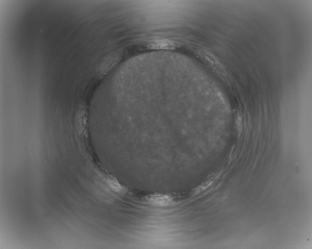 X0000072540322200608111819