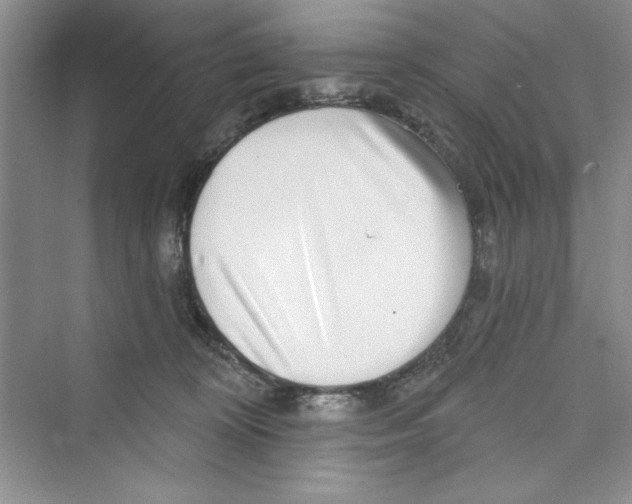 X0000072540324200608111819