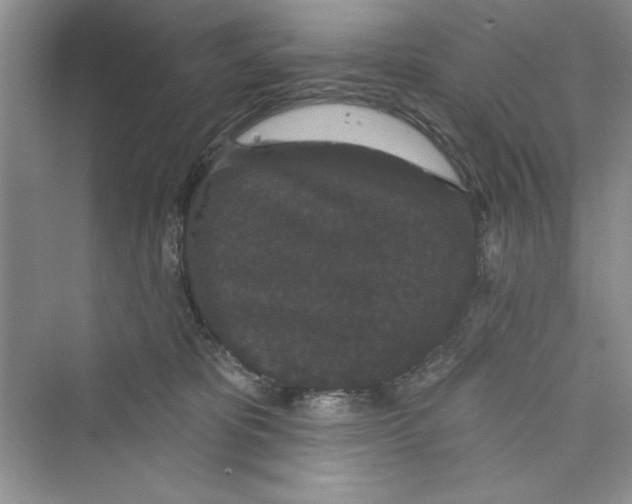 X0000072540325200608111819