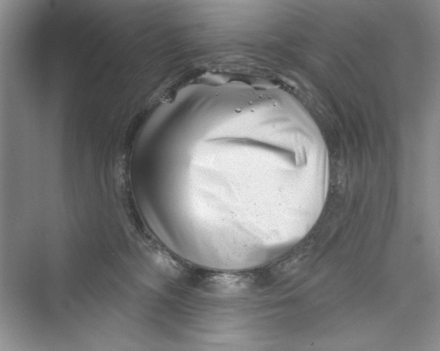 X0000072540326200608111819