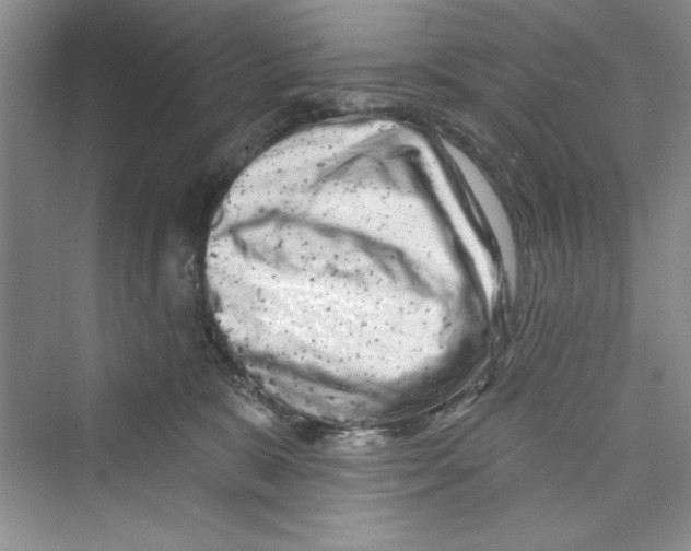 X0000072540327200608111819