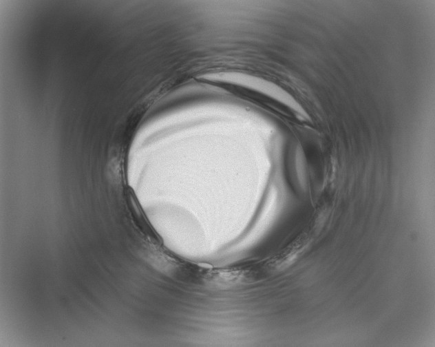 X0000072540329200608111819