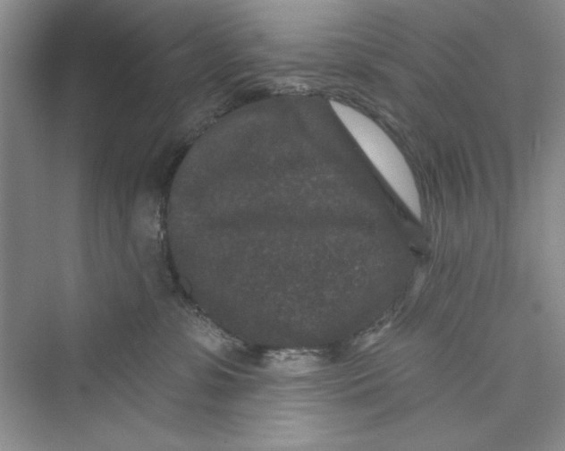 X0000072540331200608111819