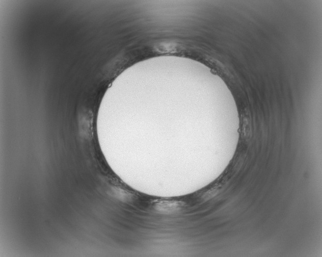 X0000072540332200608111819