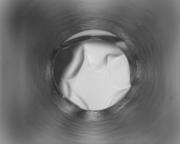 X0000072540333200608111819