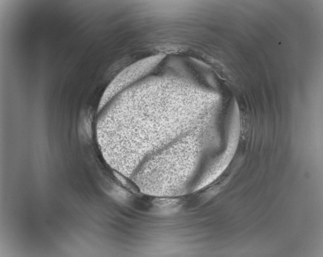 X0000072540334200608111819