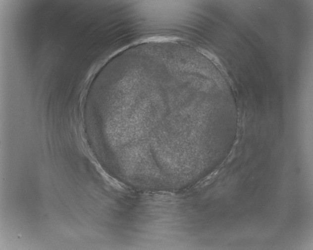 X0000072540337200608111818