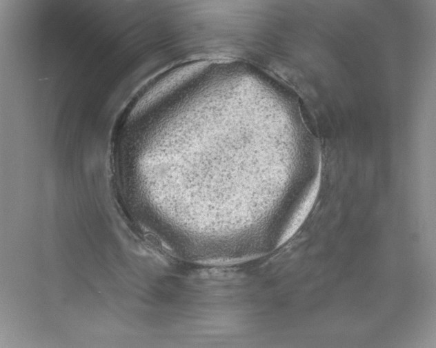 X0000072540338200608111818