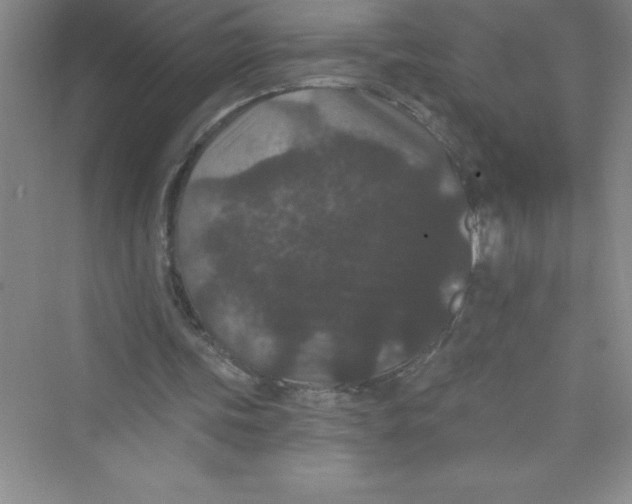 X0000072540339200608111818