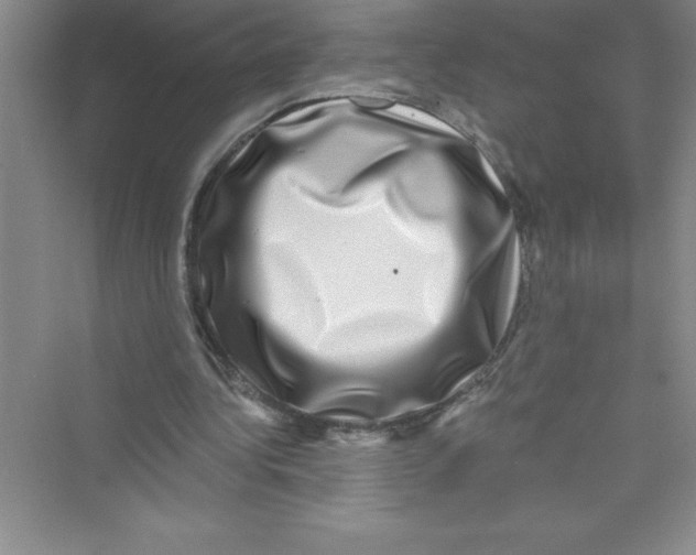 X0000072540340200608111818