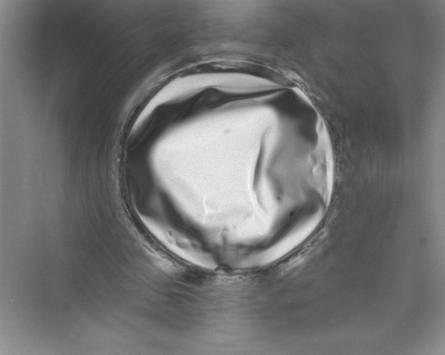 X0000072540341200608111818