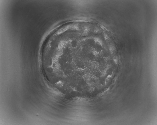 X0000072540343200608111818