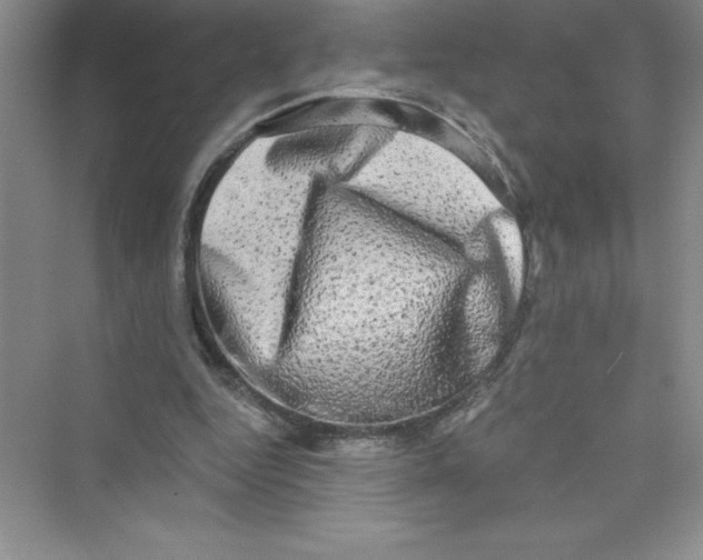 X0000072540344200608111818