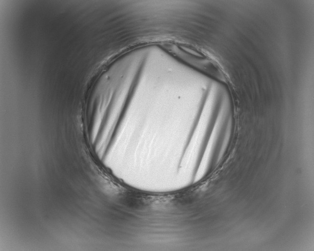 X0000072540345200608111818