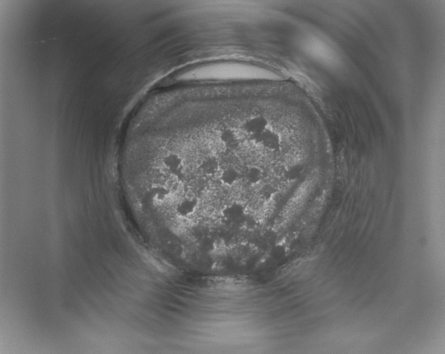 X0000072540347200608111818