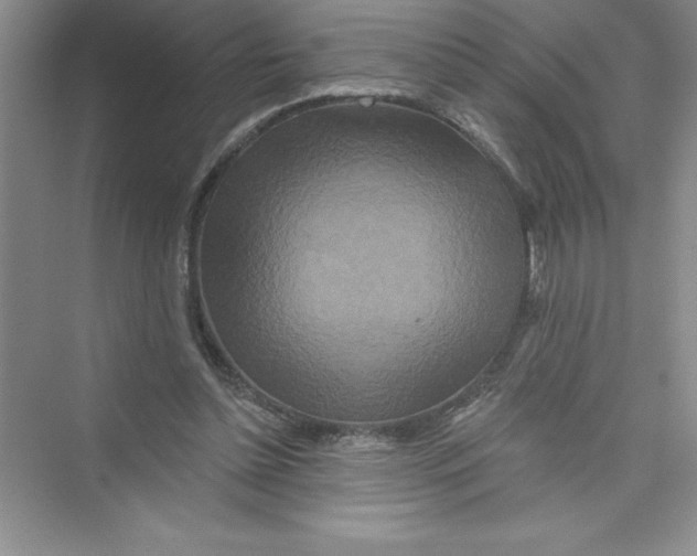 X0000072540348200608111819