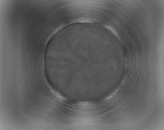 X0000072540349200608111819