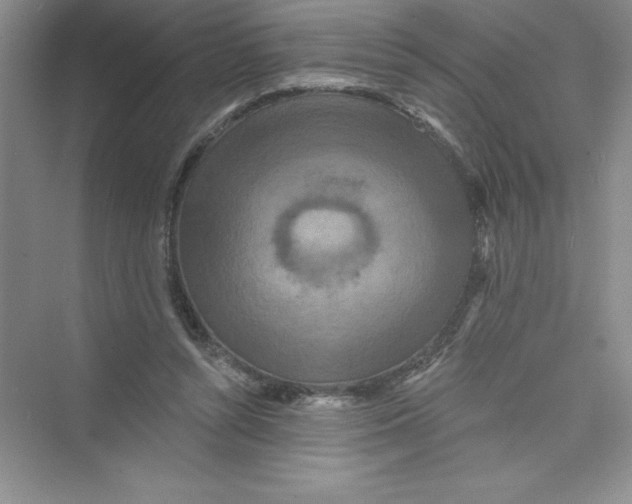 X0000072540352200608111819