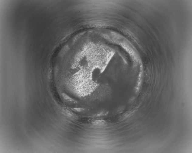 X0000072540355200608111819