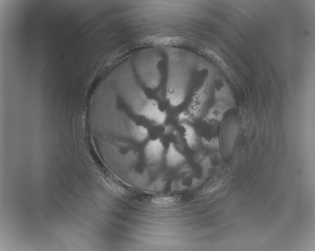 X0000072540357200608111819