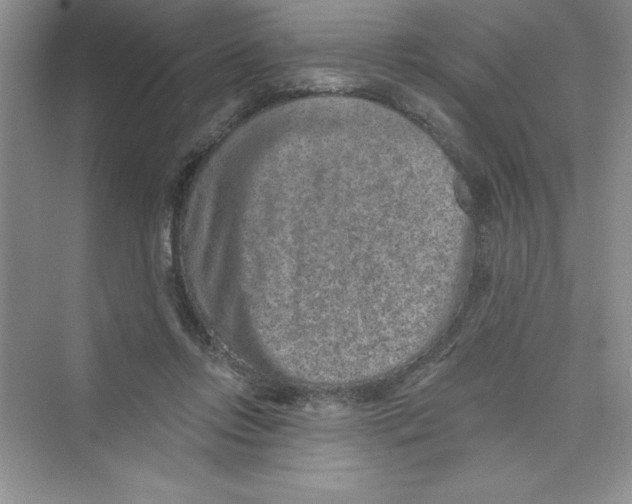 X0000072540358200608111819