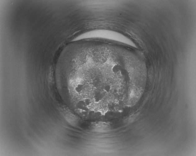 X0000072540359200608111819