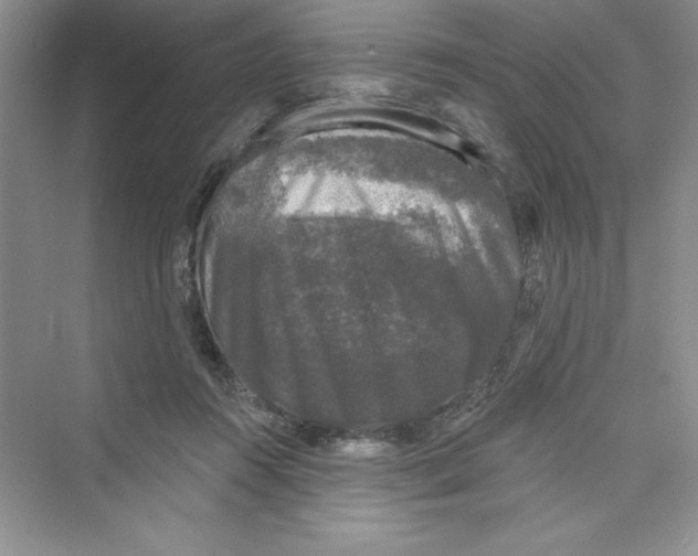 X0000072540360200608111819