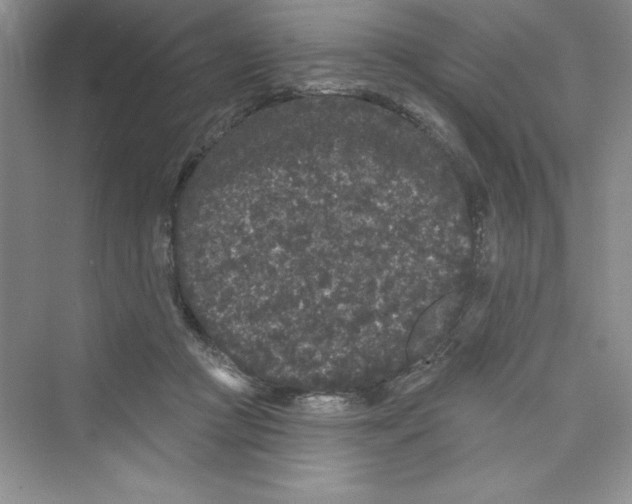 X0000072540361200608111819