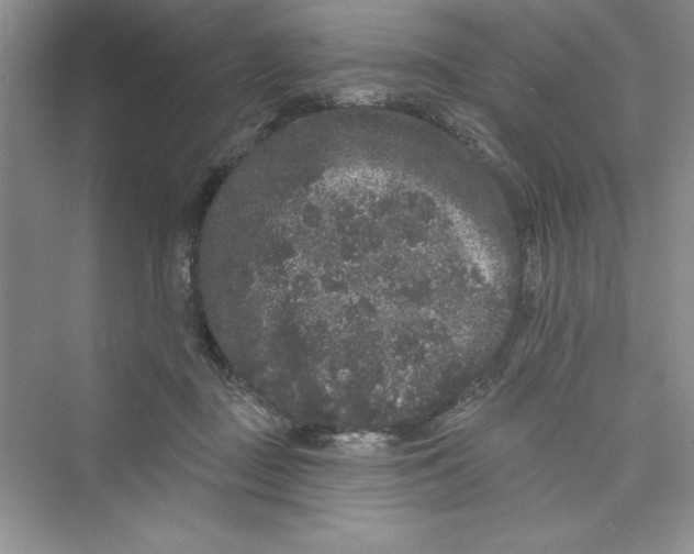 X0000072540363200608111819