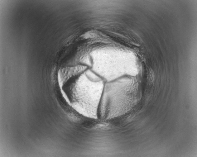 X0000072540364200608111819