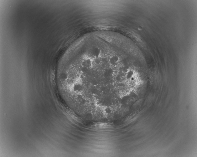 X0000072540365200608111819