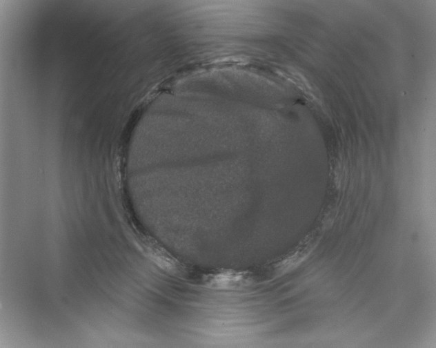 X0000072540366200608111819