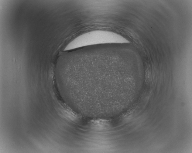 X0000072540367200608111819