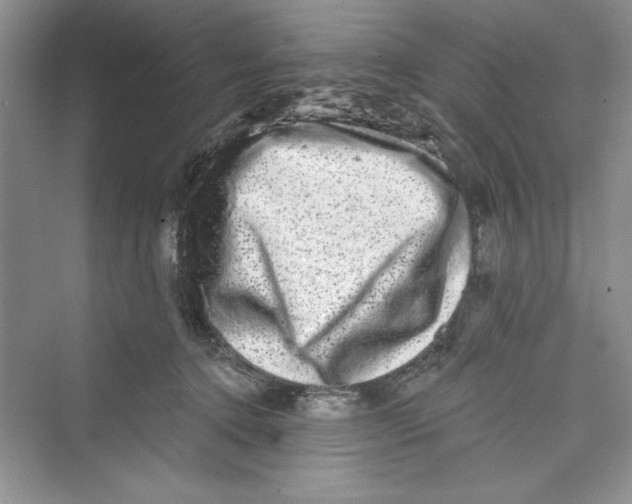 X0000072540368200608111819