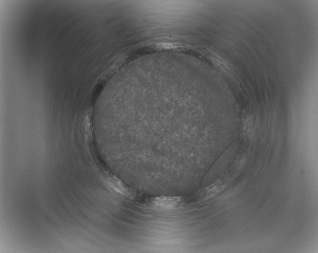 X0000072540373200608111819