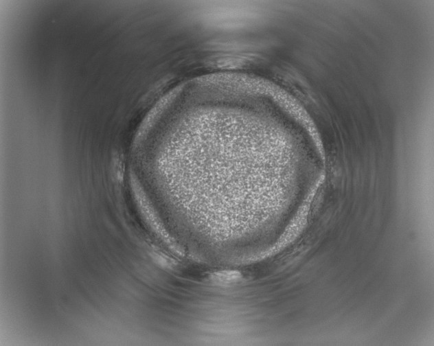 X0000072540374200608111819