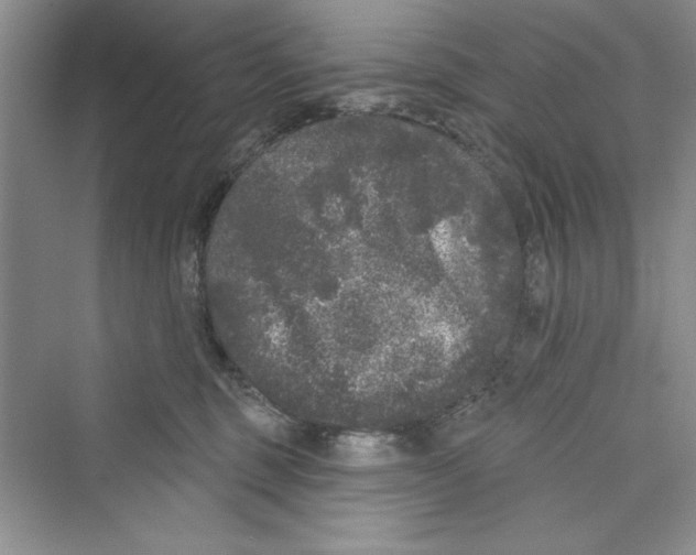 X0000072540375200608111819