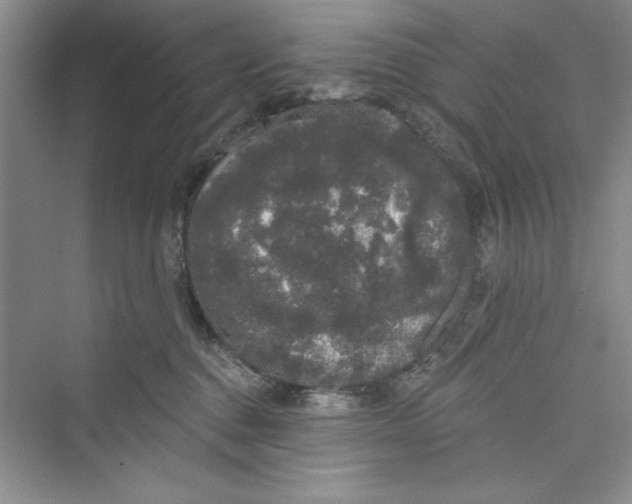 X0000072540376200608111819