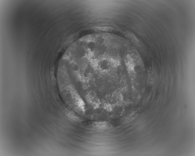 X0000072540377200608111819