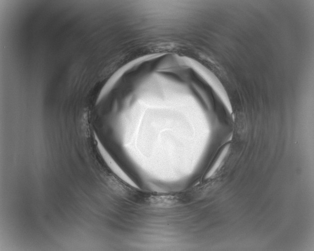 X0000072540378200608111819