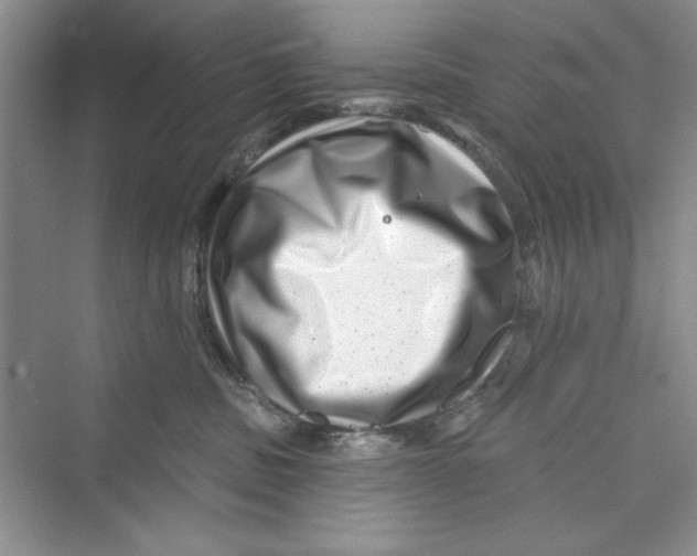 X0000072540379200608111819