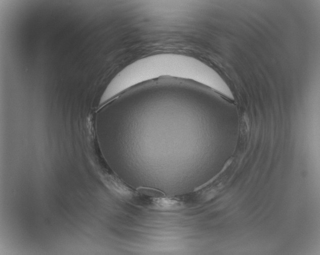 X0000072540380200608111819