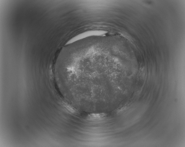 X0000072540381200608111819