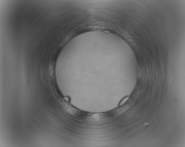 X0000072540382200608111819