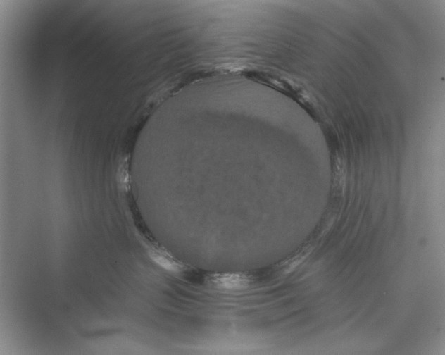 X0000072540383200608111819