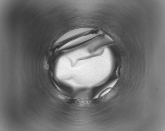 X0000072540384200608111819