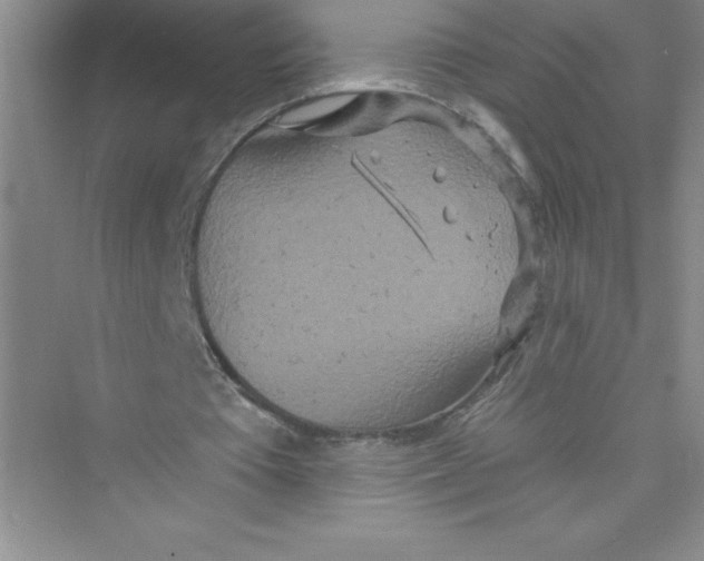 X0000072540385200608111818