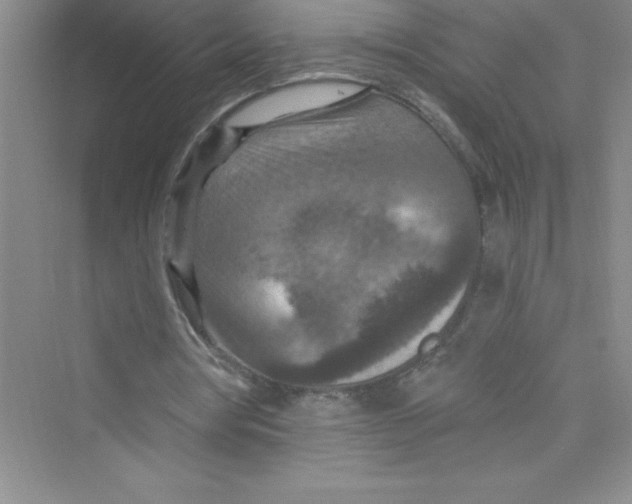 X0000072540386200608111818