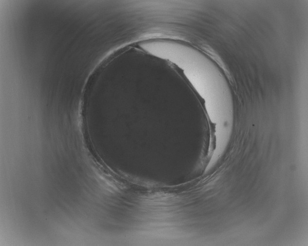 X0000072540387200608111818