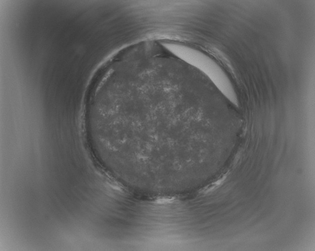 X0000072540388200608111818